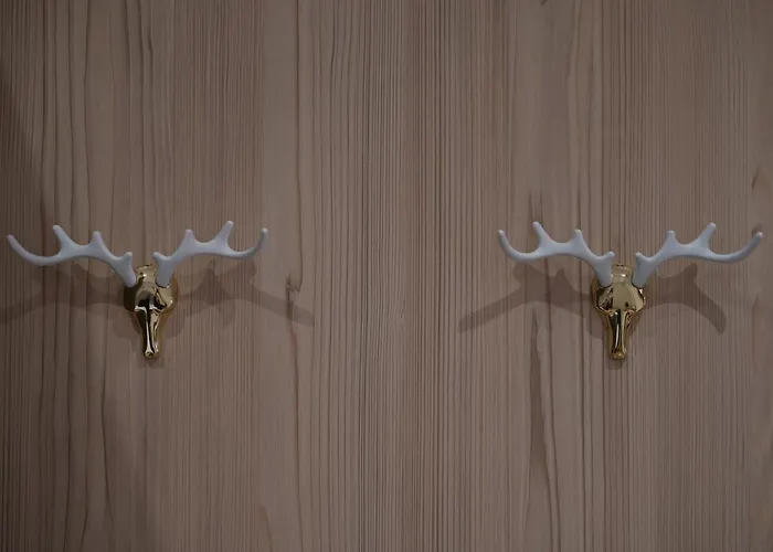 Rentoasis Apartamento *